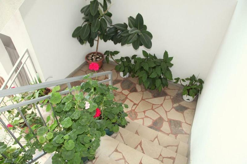 Apartments Villa Ravlić Makarska Esterno foto